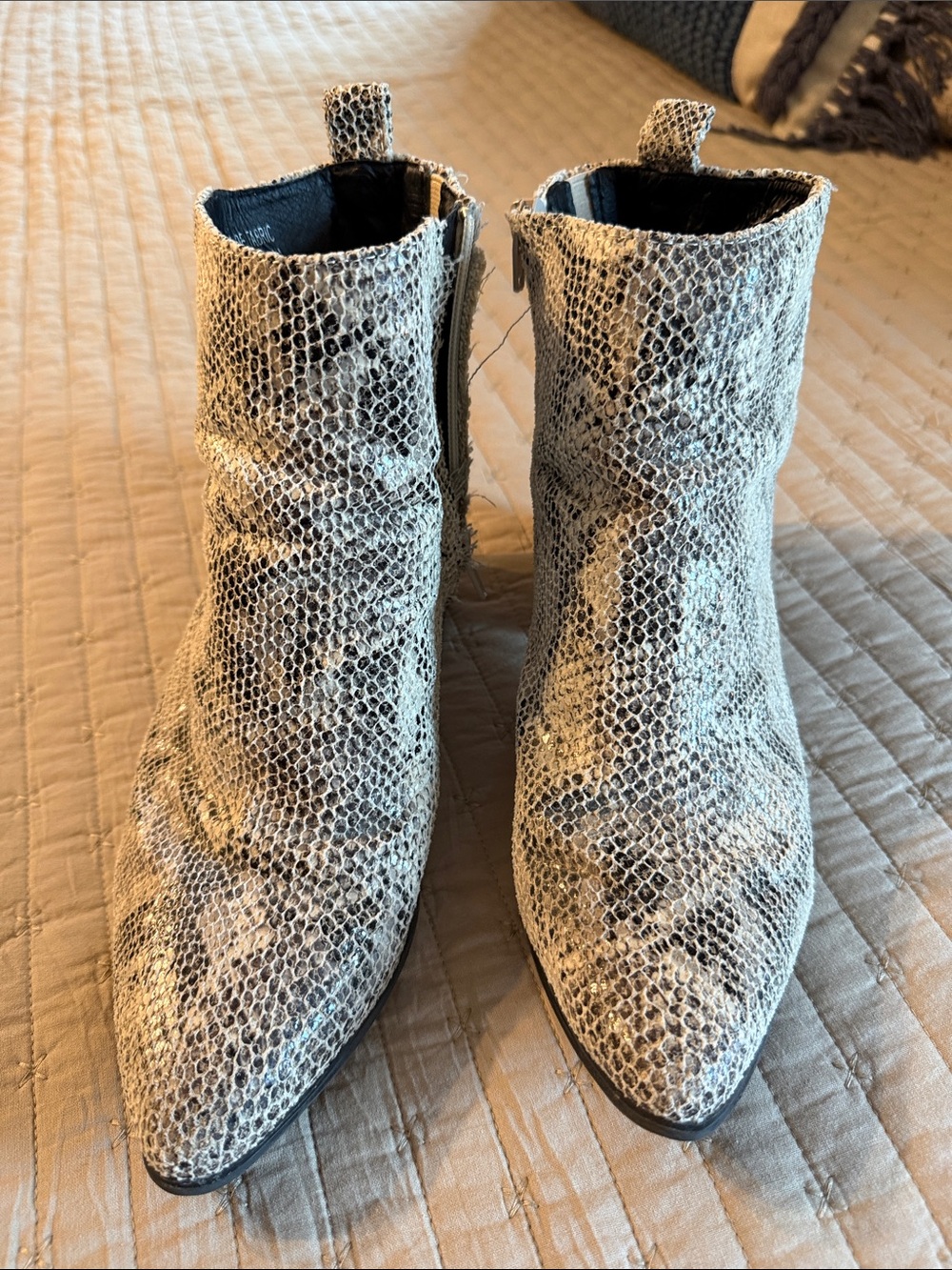 gimmicks by BKE Snake-Print Ankle Boots in Beige and Black